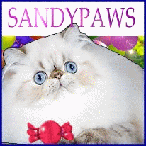 Sandypaws